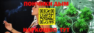 индика Кулебаки