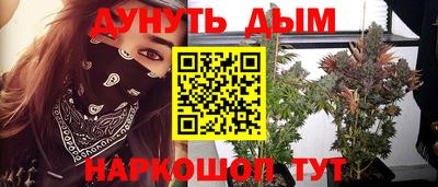 индика Кулебаки