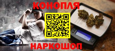 индика Кулебаки