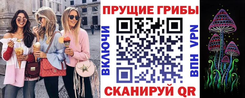 Купить  Камышлов  Псилоцибиновые грибы мицелий 