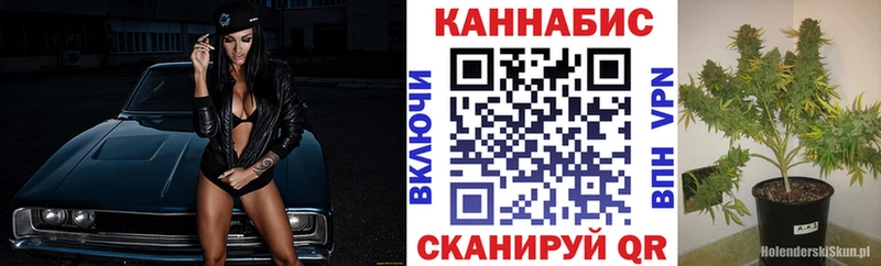 Шишки марихуана OG Kush  Купить где  Камышлов 